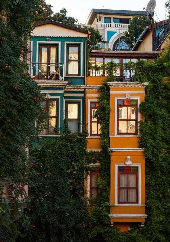 casa colorida con naturaleza alrededor en un vecindario de puebla
